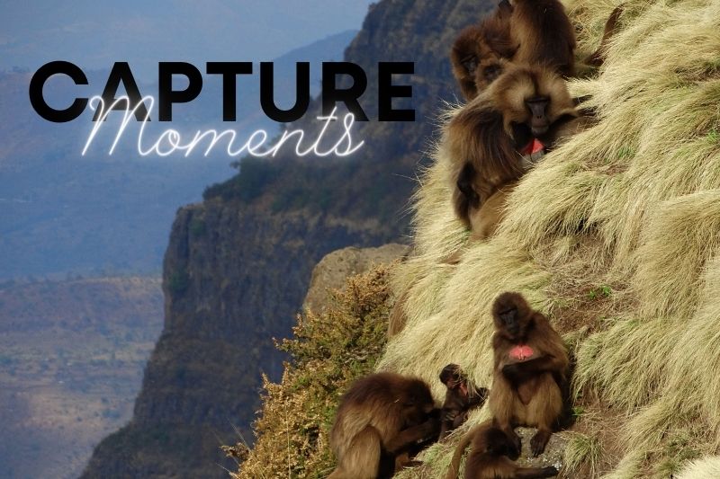 Capture the Moments