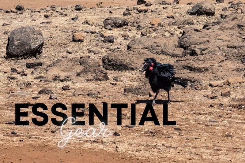 Pack Essential Gear