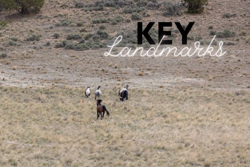Visit Key Landmarks